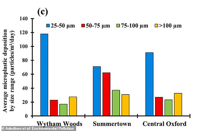 Hidden Microplastic Crisis in Britain's Woodlands: Urgent Call for Reevaluating Environmental Strategies and Public Health Advisories