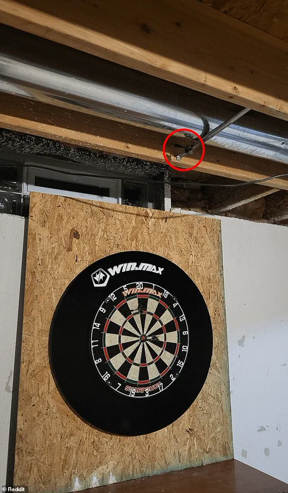 Reddit Post Challenges Users to Find Hidden Third Dart in Deceptively Simple Image