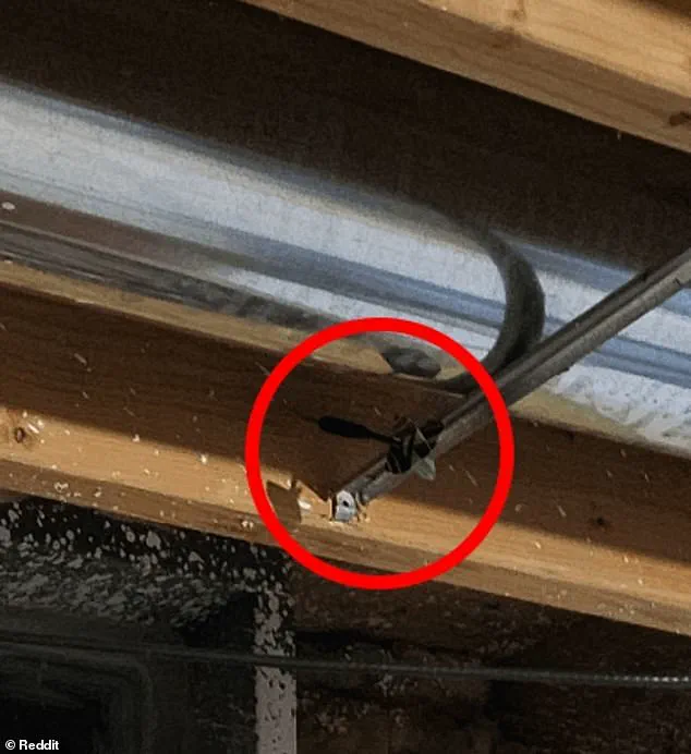 Reddit Post Challenges Users to Find Hidden Third Dart in Deceptively Simple Image