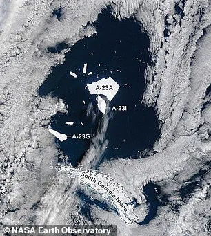 The World's Largest Iceberg Turns Bright Blue, Signaling Imminent Collapse: 'This Is a Clear Indicator of Rapid Deterioration,' Says Researcher