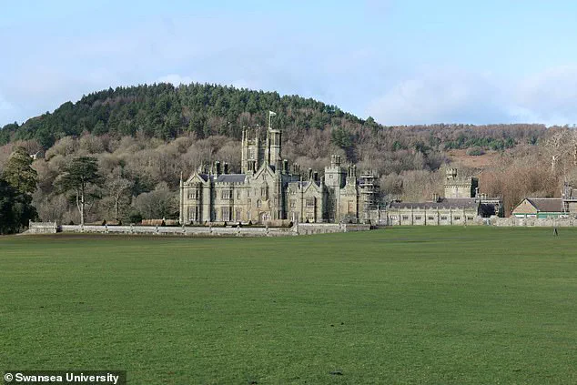 Unearthing History: Ground-Penetrating Radar Reveals Wales’ Largest Roman Villa, Dubbed ‘Port Talbot’s Pompeii’