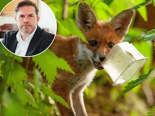 Exclusive Insights: The Hidden Impact of Urban Foxes on Neighbourhoods