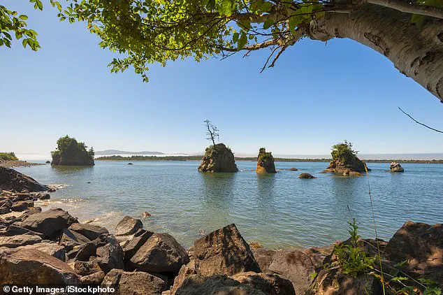 Finally Identified After 20 Years: Skeletal Remains of Missing Oregon Mayor Clarence Edwin 'Ed' Asher Bring Closure to Longstanding Mystery