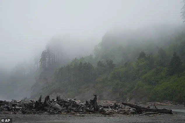 Finally Identified After 20 Years: Skeletal Remains of Missing Oregon Mayor Clarence Edwin 'Ed' Asher Bring Closure to Longstanding Mystery