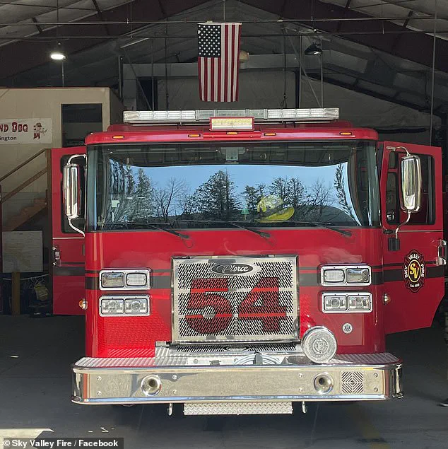 Firefighters Save Six Puppies from Opioid Overdose in Unusual Rescue