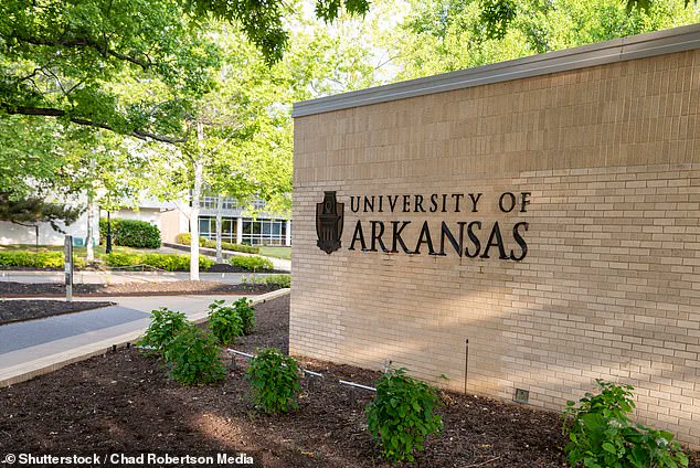 University of Arkansas Rescinds Job Offer to Legal Scholar Emily Suski, Citing External Feedback