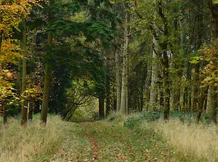 Study Reveals Higher NO2 Pollution in Low-Income Neighborhoods of Northern UK Cities