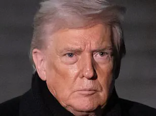 Greenland's Viral TikTok Campaign Sparks Debate on Cultural Influence and Public Health Awareness