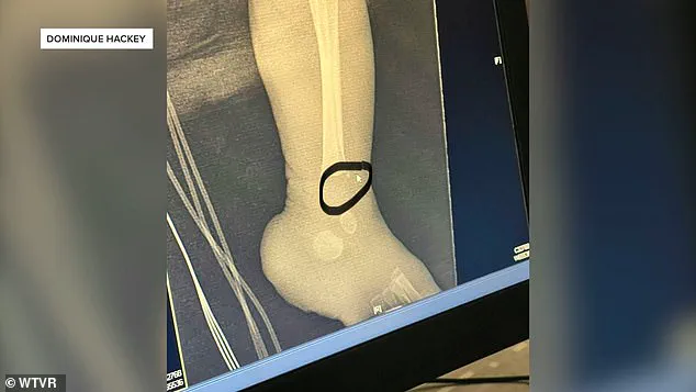 Healthcare Leaders Urge Systemic Reforms After Nurse Pleads No Contest to Child Abuse Charges, Raising Questions About Patient Safety and Oversight