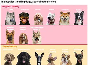 Urgent Alert: Over Half of British Dogs Overweight or Obese, Experts Warn