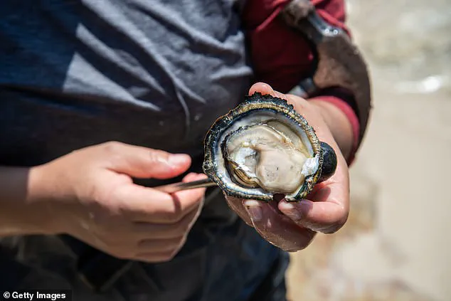 ‘Finally, we can fish in clean water again’—Boston Harbor Reopens After Decades-Long Cleanup