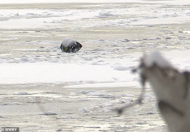 Last-Minute Rescue on Thin Ice: Father's Heroic Act Saves Son in Upstate New York Snowmobile Accident