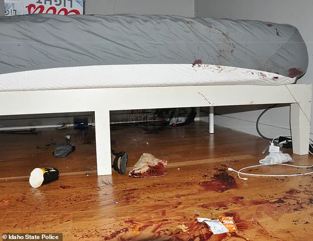 Previously Unseen Crime Scene Photos Reveal Bloodstains, Soaked Materials, and Signs of Struggle at Idaho Murders Home