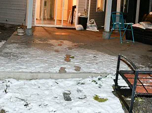 Idaho State Police Spark Controversy Over Release of Graphic Crime Scene Photos from University of Idaho Murders, Fueling Public Outcry and Community Concerns