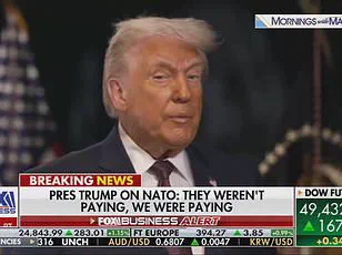 Prince Harry Condemns Re-elected President Trump's Remarks on British Military Sacrifice in Afghanistan, Calls for Respect