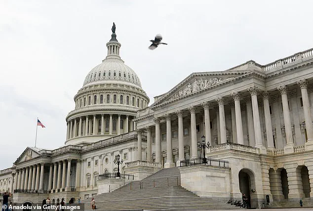 Privileged Insights: The Untold Story of the IndyCar Race and Political Tensions