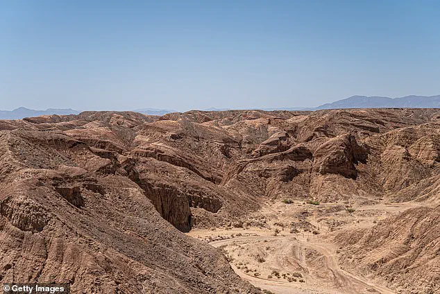Tragic Dune Buggy Crash in Ocotillo Wells Prompts Debate Over Off-Road Vehicle Safety Regulations