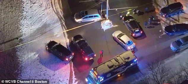 Tragedy Strikes Carver: Deadly Shooting at Birthday Celebration Sparks Public Safety Concerns