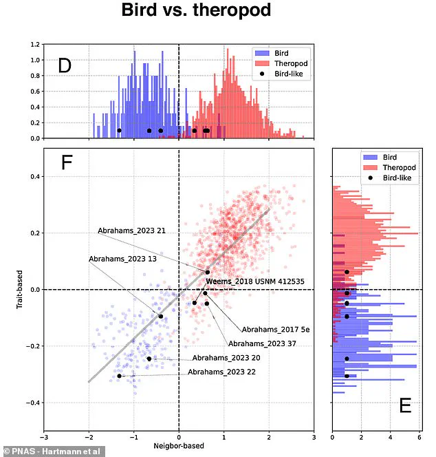 AI Analysis of Dinosaur Footprints Suggests Birds Evolved 60 Million Years Earlier
