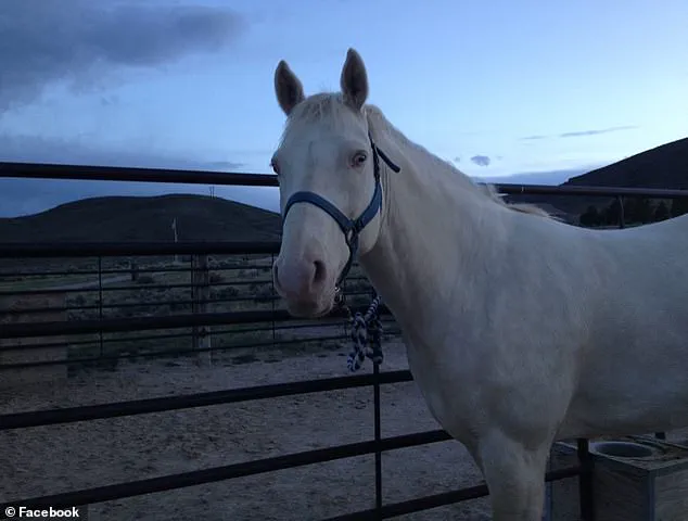 Gang-Related Ritual Sacrifice and Double Murder Shock Pacific Northwest