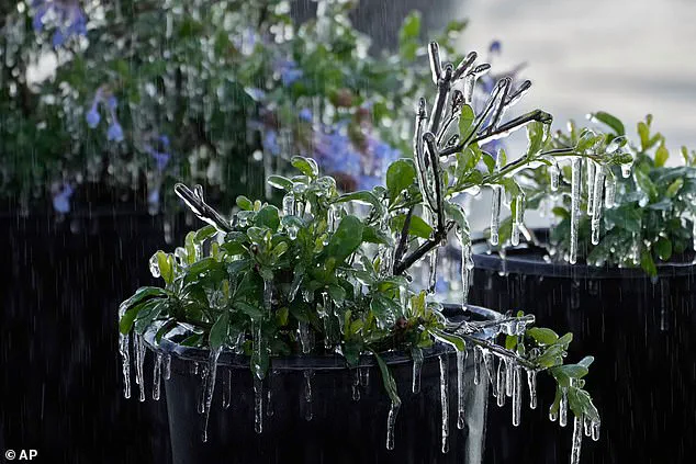 Winter Storm Gianna Brings Record-Cold Temperatures to Southeast, Affecting 35 Million Americans