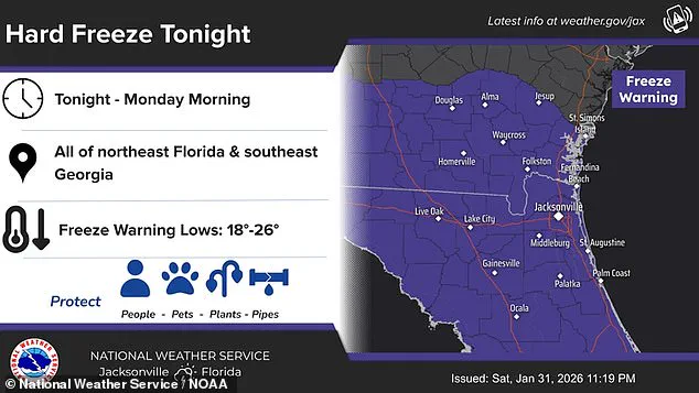 Florida's Unprecedented Cold Snap: Bomb Cyclone Brings Subzero Temps and Winter Wonderland Conditions