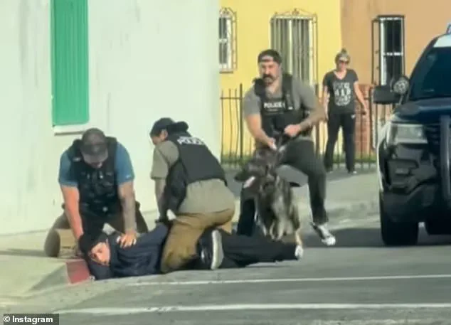 Viral Video of Alleged ICE Brutality Recontextualized as 17-Year-Old Suspect in Violent Crimes