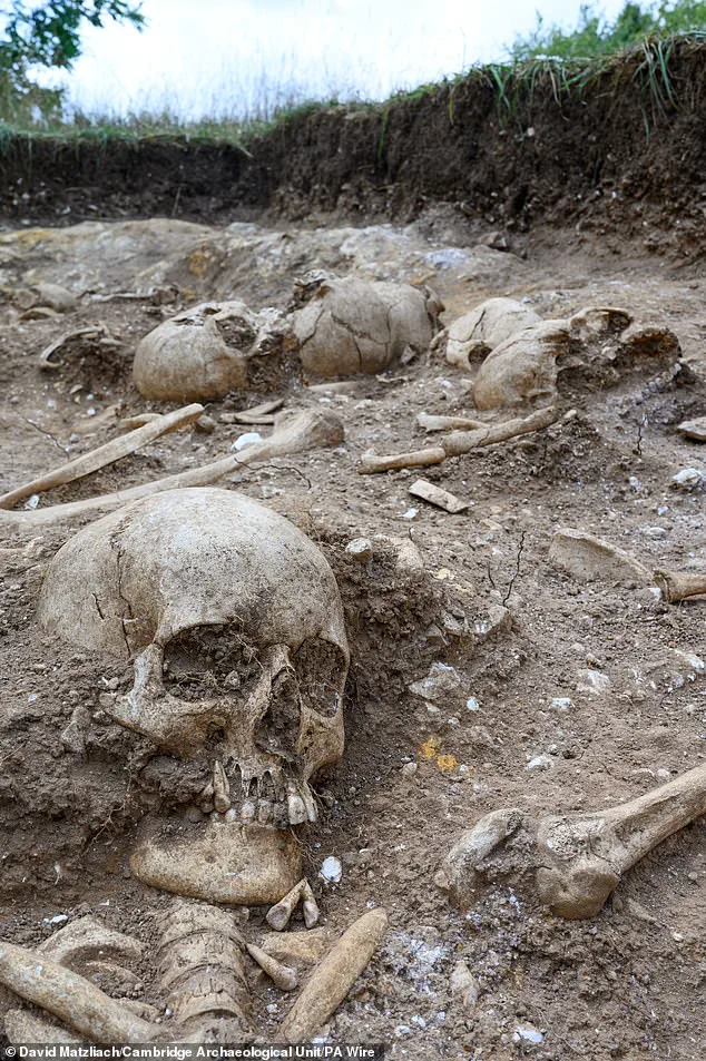 Viking-Era Burial Pit of Decapitated Victims Unveils 9th-Century Violence in Cambridge