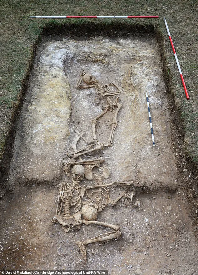 Viking-Era Burial Pit of Decapitated Victims Unveils 9th-Century Violence in Cambridge