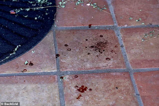 Frustration Grows in Nancy Guthrie Case as Investigators Fail to Identify Suspects Despite Ransom Notes and Family's Appeal