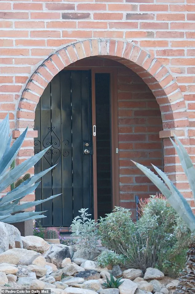 Neighbor Reports Unmarked Van Days Before 84-Year-Old's Disappearance