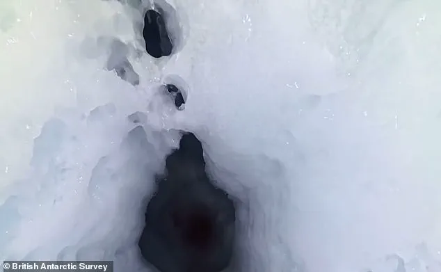 Disaster Strikes Antarctic 'Doomsday Glacier' Mission as Instruments Trapped in Ice, Threatening Global Sea Levels