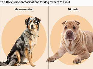 Pets Are Unwitting Carriers of Invasive Flatworms, Sparking Ecological Alarm in Europe