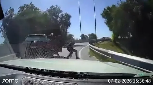 Dashcam Footage Captures Chilean Driver's Defiant Move Against Armed Robbers