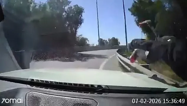 Dashcam Footage Captures Chilean Driver's Defiant Move Against Armed Robbers