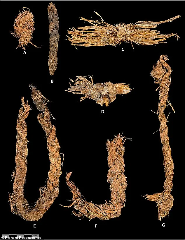 Oldest Sewn Clothing Found in Oregon Dates Back 12,000 Years, Challenging Historical Assumptions