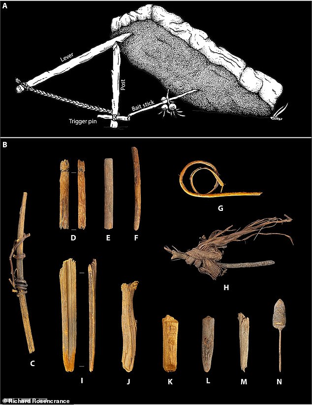 Oldest Sewn Clothing Found in Oregon Dates Back 12,000 Years, Challenging Historical Assumptions