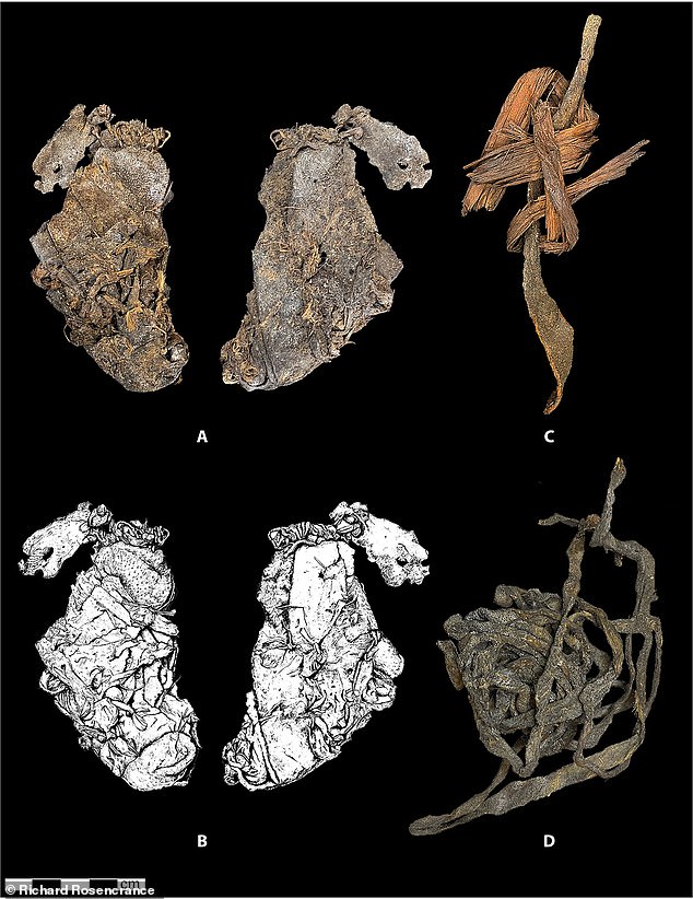 Oldest Sewn Clothing Found in Oregon Dates Back 12,000 Years, Challenging Historical Assumptions