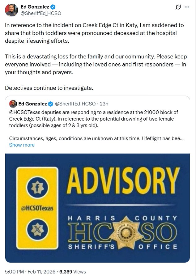 Grandmother's Desperate Rescue of Three-Year-Olds in Katy, Texas Pool Emergency