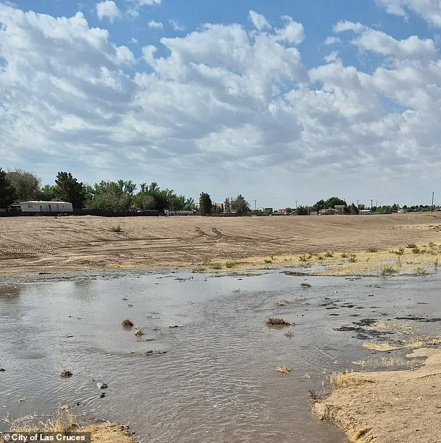 Newborn Dies After Being Left in Chemical Tank of Portable Toilet in New Mexico