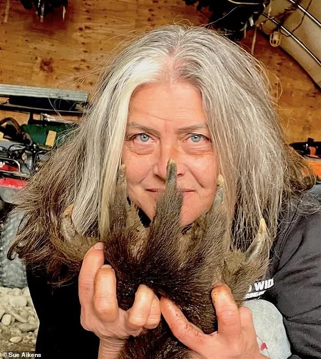 Surviving the Grizzly's Jaw: A Woman's Unyielding Bond with Alaska's Wilds