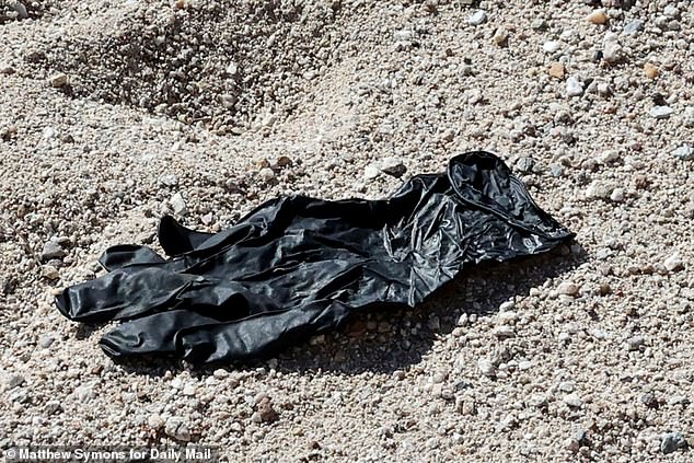 DNA Labs International: Unraveling Mysteries in the Shadows of Justice