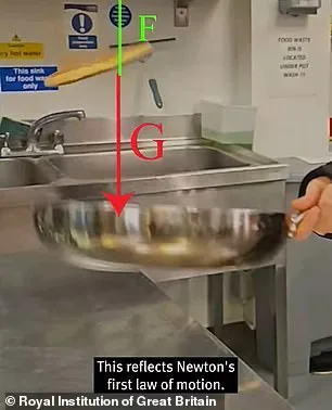 The Science of a Perfect Pancake Flip