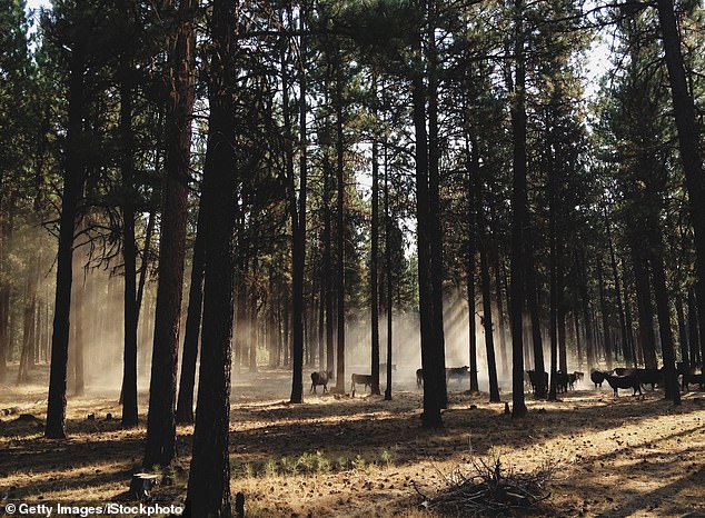 Oregon Considers Hunting and Fishing Ban as Petition Gains Momentum, Pitting Tradition Against Ethics