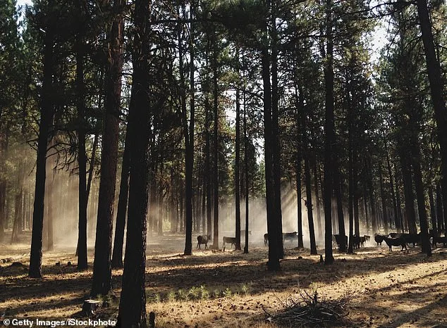 Oregon Considers Hunting and Fishing Ban as Petition Gains Momentum, Pitting Tradition Against Ethics