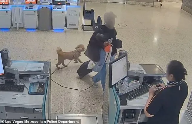 Woman Arrested After Leaving Dog at Las Vegas Airport Terminal