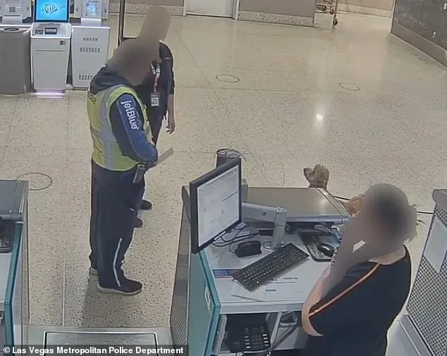 Woman Arrested After Leaving Dog at Las Vegas Airport Terminal
