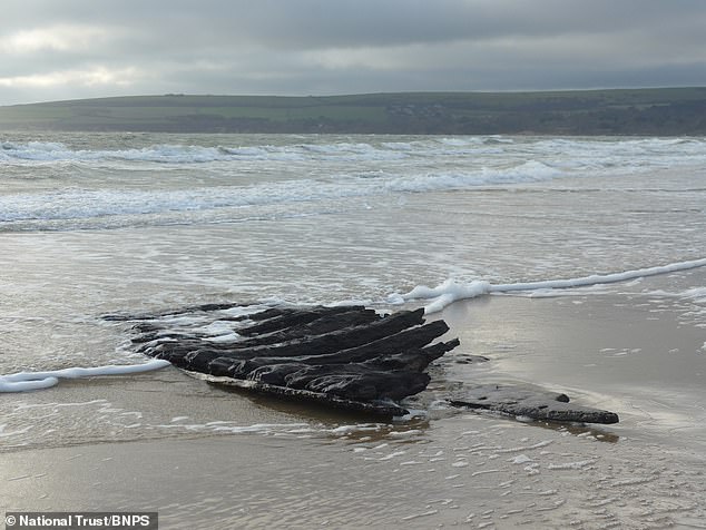 Desperate Race to Save 400-Year-Old Dutch Merchant Shipwreck Exposed by Storm