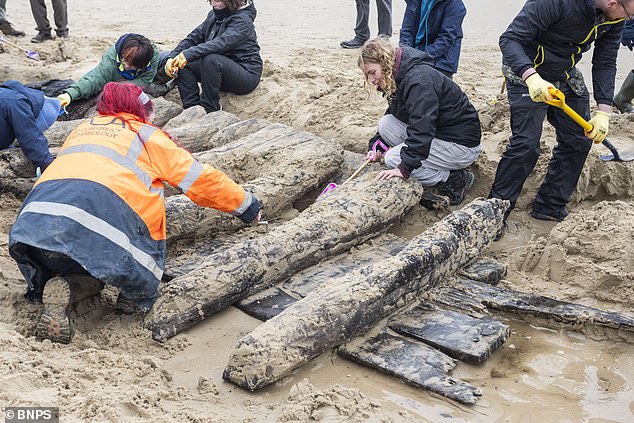 Desperate Race to Save 400-Year-Old Dutch Merchant Shipwreck Exposed by Storm