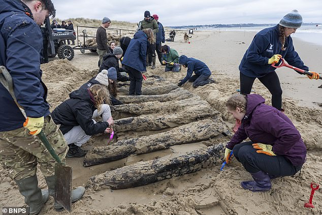 Desperate Race to Save 400-Year-Old Dutch Merchant Shipwreck Exposed by Storm